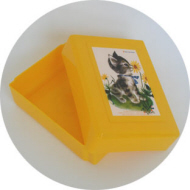 Gouden Boekjes lunchbox Poes 